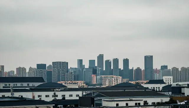 技术转让合作中的设计适用情况与限制